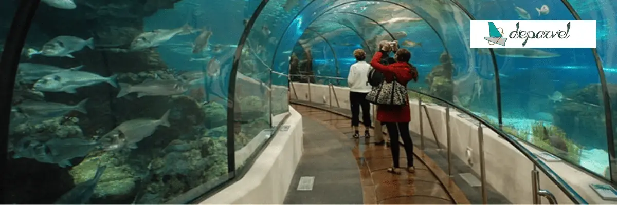 معرفی جاذبههای کیش