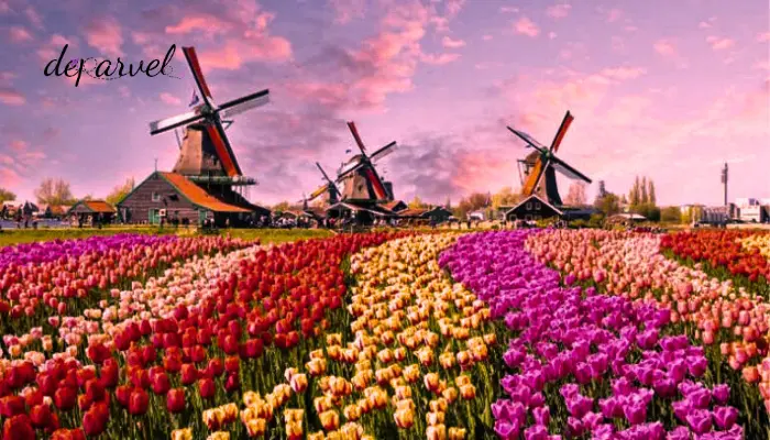 مکان‌های دیدنی هلند