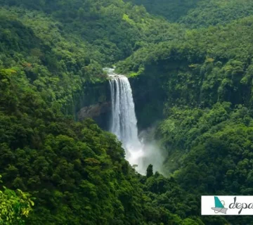 فهرست کاملی از جاذبه‌ های گردشگری گوا هند